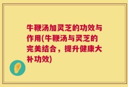 牛鞭汤加灵芝的功效与作用(牛鞭汤与灵芝的完美结合，提升健康大补功效)