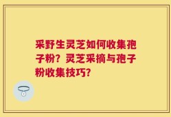 采野生灵芝如何收集孢子粉？灵芝采摘与孢子粉收集技巧？