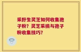 采野生灵芝如何收集孢子粉？灵芝采摘与孢子粉收集技巧？