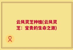 云风灵芝种植(云风灵芝：宝贵的生命之源)