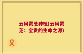 云风灵芝种植(云风灵芝：宝贵的生命之源)