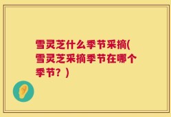 雪灵芝什么季节采摘(雪灵芝采摘季节在哪个季节？)