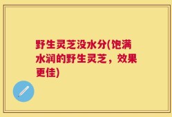 野生灵芝没水分(饱满水润的野生灵芝，效果更佳)