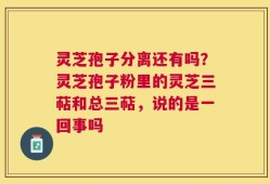 灵芝孢子分离还有吗？灵芝孢子粉里的灵芝三萜和总三萜，说的是一回事吗