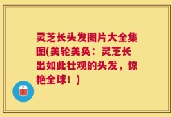 灵芝长头发图片大全集图(美轮美奂：灵芝长出如此壮观的头发，惊艳全球！)