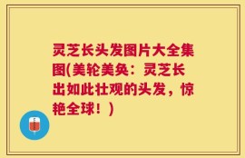 灵芝长头发图片大全集图(美轮美奂：灵芝长出如此壮观的头发，惊艳全球！)