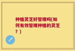 种植灵芝好管理吗(如何有效管理种植的灵芝？)