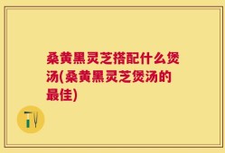 桑黄黑灵芝搭配什么煲汤(桑黄黑灵芝煲汤的最佳)