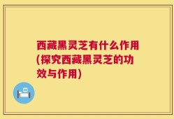 西藏黑灵芝有什么作用(探究西藏黑灵芝的功效与作用)