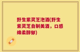 野生紫灵芝泡酒(野生紫灵芝自制美酒，口感绵柔醇郁)