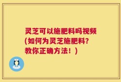 灵芝可以施肥料吗视频(如何为灵芝施肥料？教你正确方法！)