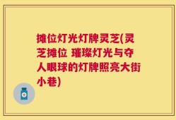 摊位灯光灯牌灵芝(灵芝摊位 璀璨灯光与夺人眼球的灯牌照亮大街小巷)