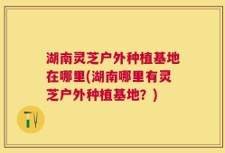 湖南灵芝户外种植基地在哪里(湖南哪里有灵芝户外种植基地？)