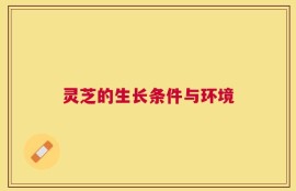 灵芝的生长条件与环境