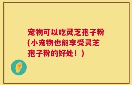 宠物可以吃灵芝孢子粉(小宠物也能享受灵芝孢子粉的好处！)