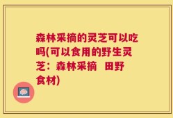 森林采摘的灵芝可以吃吗(可以食用的野生灵芝：森林采摘  田野食材)