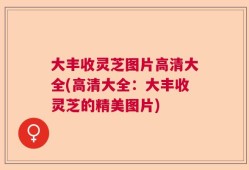 大丰收灵芝图片高清大全(高清大全：大丰收灵芝的精美图片)
