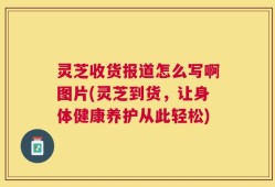 灵芝收货报道怎么写啊图片(灵芝到货，让身体健康养护从此轻松)