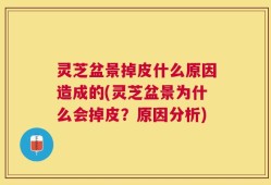 灵芝盆景掉皮什么原因造成的(灵芝盆景为什么会掉皮？原因分析)