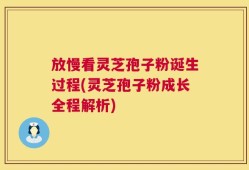 放慢看灵芝孢子粉诞生过程(灵芝孢子粉成长全程解析)