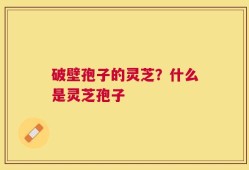 破壁孢子的灵芝？什么是灵芝孢子