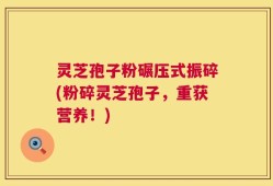 灵芝孢子粉碾压式振碎(粉碎灵芝孢子，重获营养！)