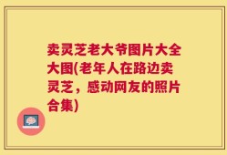 卖灵芝老大爷图片大全大图(老年人在路边卖灵芝，感动网友的照片合集)