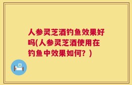 人参灵芝酒钓鱼效果好吗(人参灵芝酒使用在钓鱼中效果如何？)