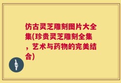 仿古灵芝雕刻图片大全集(珍贵灵芝雕刻全集，艺术与药物的完美结合)