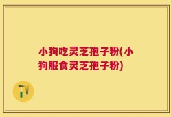 小狗吃灵芝孢子粉(小狗服食灵芝孢子粉)