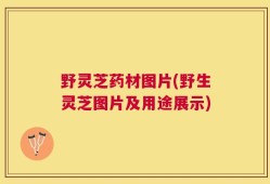 野灵芝药材图片(野生灵芝图片及用途展示)
