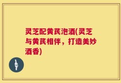 灵芝配黄芪泡酒(灵芝与黄芪相伴，打造美妙酒香)
