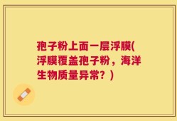 孢子粉上面一层浮膜(浮膜覆盖孢子粉，海洋生物质量异常？)
