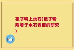 孢子粉上水石(孢子粉附着于水石表面的研究)