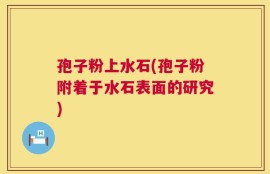 孢子粉上水石(孢子粉附着于水石表面的研究)