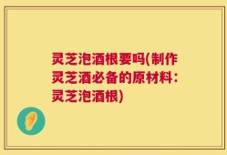 灵芝泡酒根要吗(制作灵芝酒必备的原材料：灵芝泡酒根)