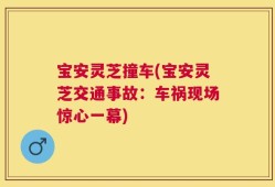 宝安灵芝撞车(宝安灵芝交通事故：车祸现场惊心一幕)
