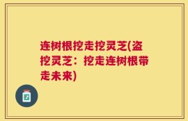 连树根挖走挖灵芝(盗挖灵芝：挖走连树根带走未来)