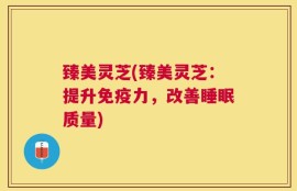 臻美灵芝(臻美灵芝：提升免疫力，改善睡眠质量)