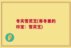 冬天雪灵芝(寒冬里的珍宝：雪灵芝)