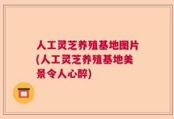 人工灵芝养殖基地图片(人工灵芝养殖基地美景令人心醉)