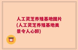 人工灵芝养殖基地图片(人工灵芝养殖基地美景令人心醉)