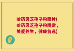 哈药灵芝孢子粉图片(哈药灵芝孢子粉图赏，关爱养生，健康首选)