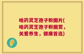 哈药灵芝孢子粉图片(哈药灵芝孢子粉图赏，关爱养生，健康首选)