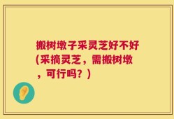 搬树墩子采灵芝好不好(采摘灵芝，需搬树墩，可行吗？)