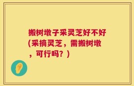 搬树墩子采灵芝好不好(采摘灵芝，需搬树墩，可行吗？)