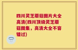 四川灵芝蘑菇图片大全高清(四川顶级灵芝蘑菇图集，高清大全不容错过)