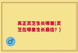 真正灵芝生长哪里(灵芝在哪里生长最佳？)