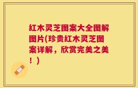 红木灵芝图案大全图解图片(珍贵红木灵芝图案详解，欣赏完美之美！)