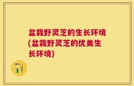 盆栽野灵芝的生长环境(盆栽野灵芝的优美生长环境)